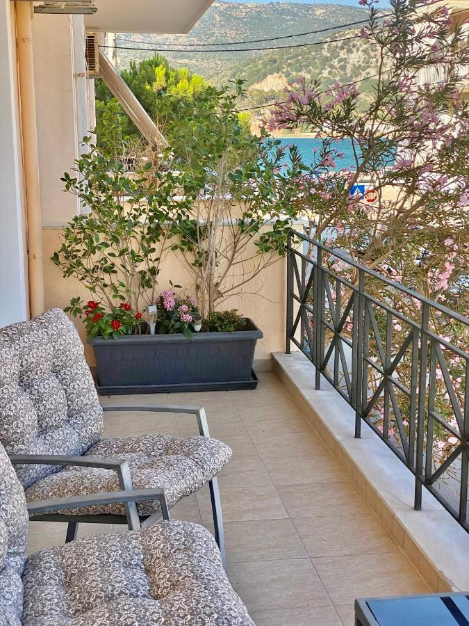 Filippos Apartments 阿尔戈斯托利翁 外观 照片