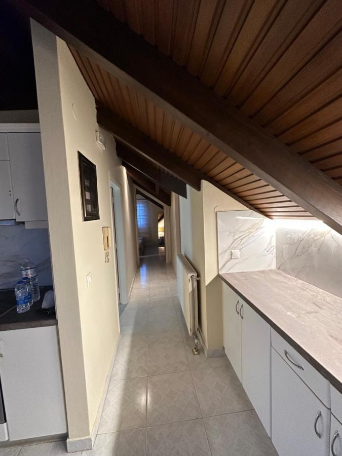 Filippos Apartments 阿尔戈斯托利翁 外观 照片